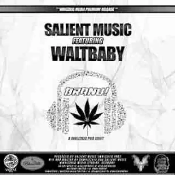 Instrumental: Walt Baby - Branu (Prod. By Salient Music)